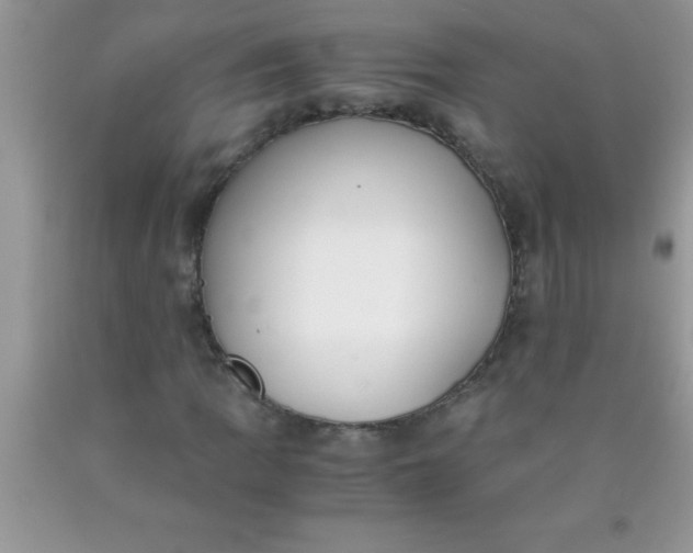 X0000090451109200707272209