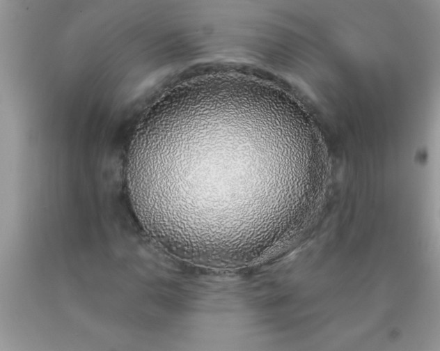 X0000090451110200707272209