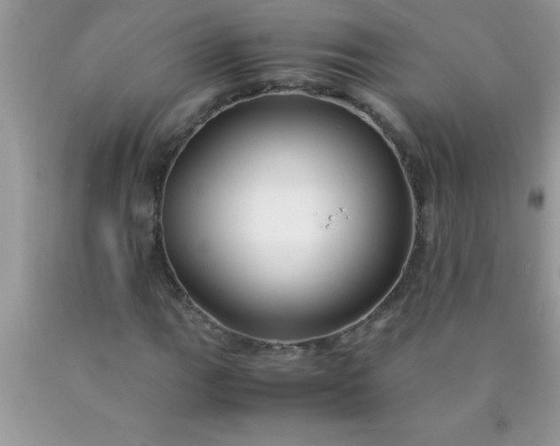 X0000090451111200707272209