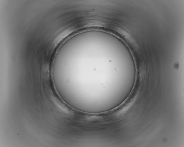 X0000090451113200707272209