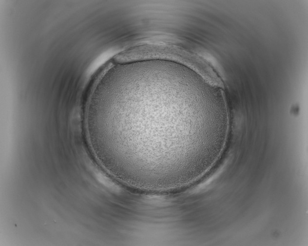 X0000090451114200707272209