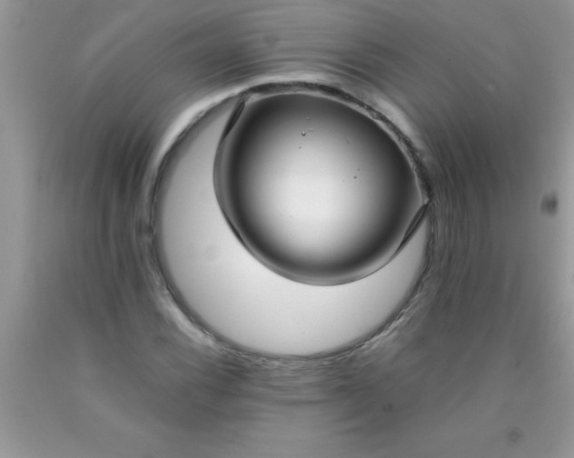 X0000090451116200707272209