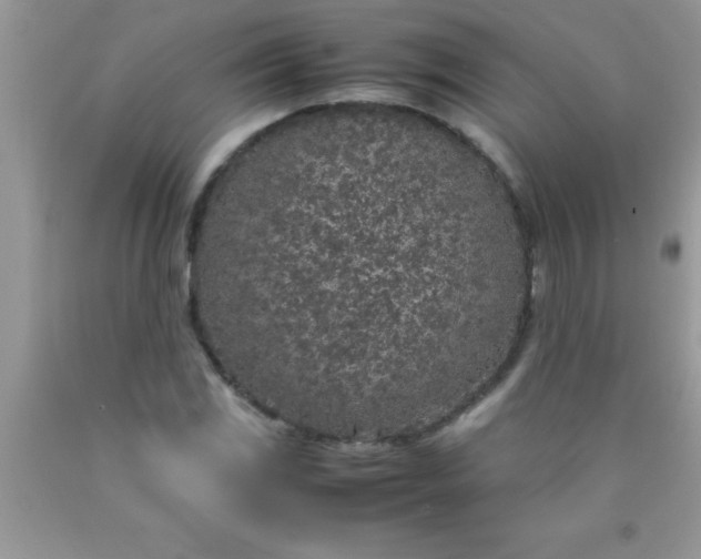 X0000090451117200707272210