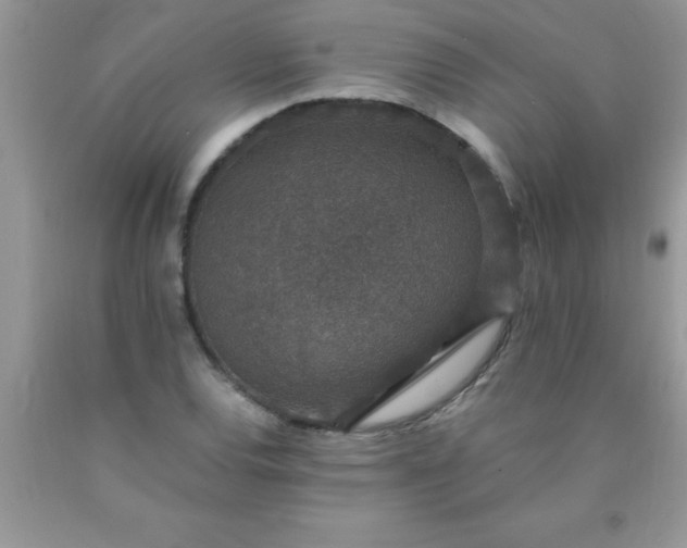 X0000090451120200707272210