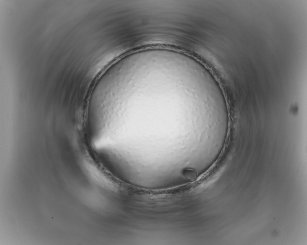 X0000090451121200707272210