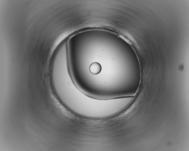 X0000090451122200707272210