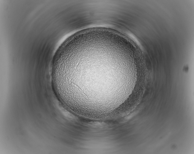 X0000090451124200707272210