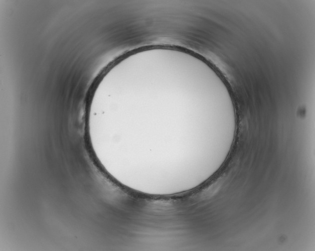 X0000090451126200707272210