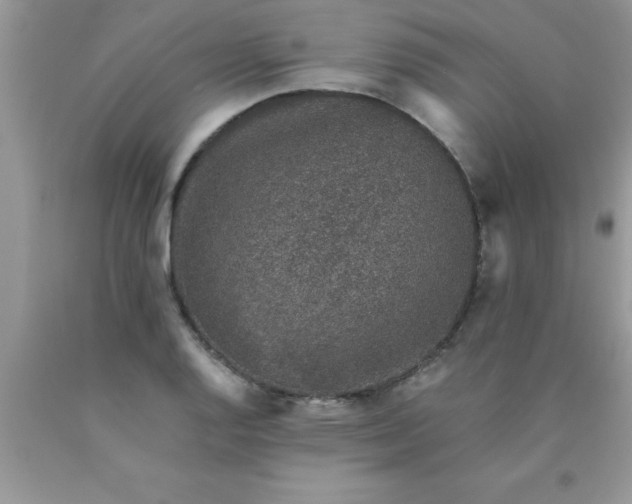 X0000090451128200707272210