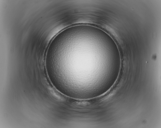 X0000090451129200707272210