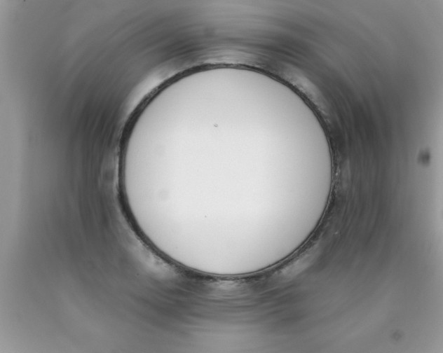 X0000090451130200707272210