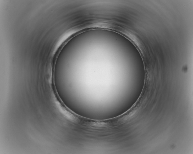 X0000090451131200707272210