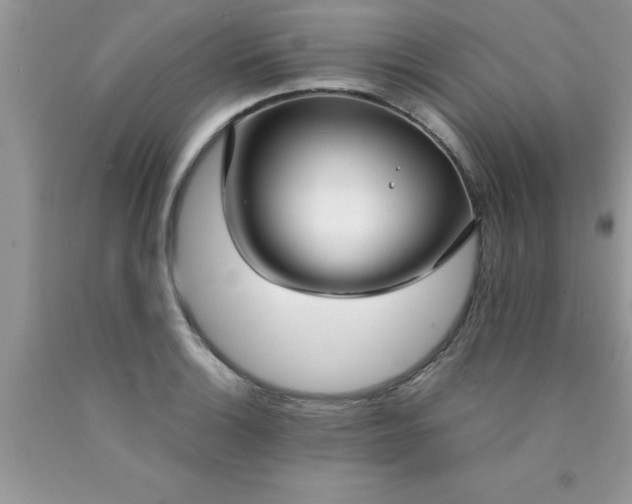 X0000090451132200707272210