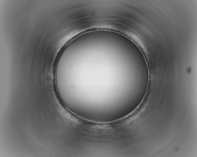 X0000090451133200707272210