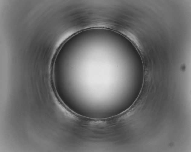 X0000090451135200707272210