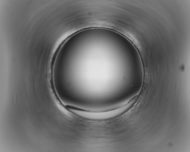 X0000090451136200707272210