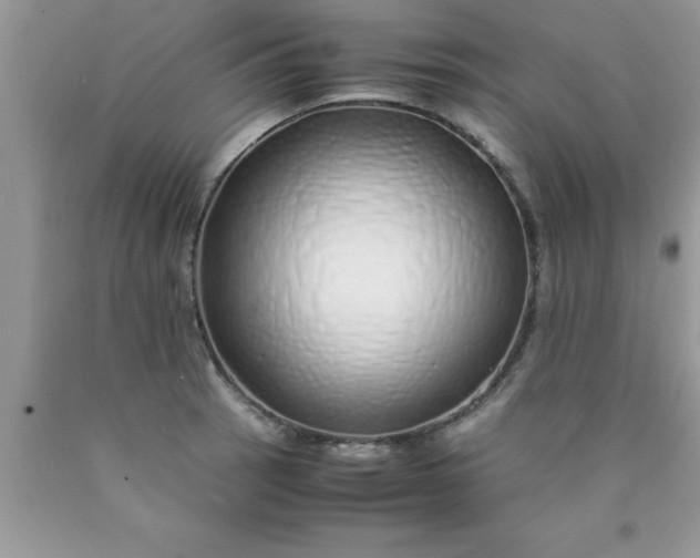 X0000090451137200707272210