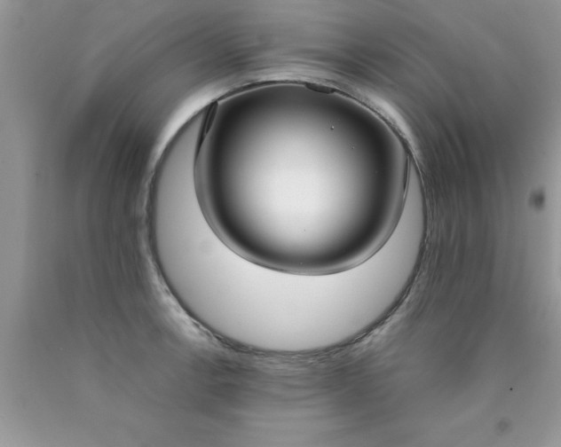 X0000090451138200707272210