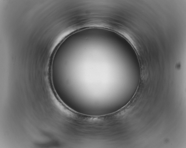 X0000090451139200707272210