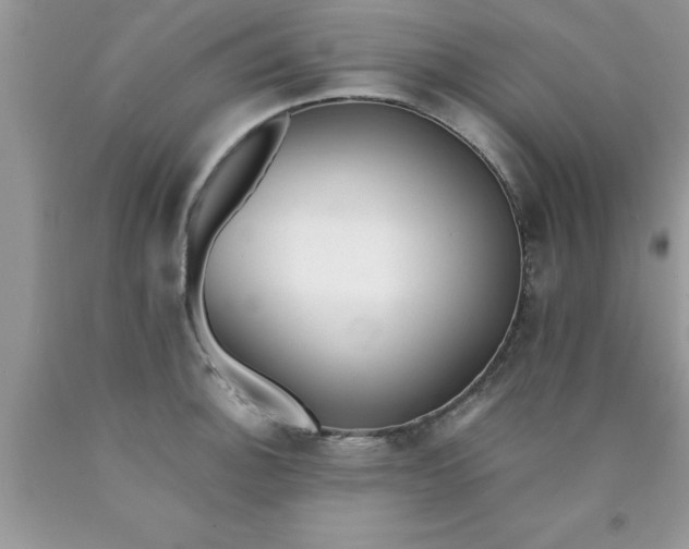 X0000090451140200707272210