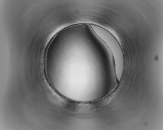 X0000090451142200707272210