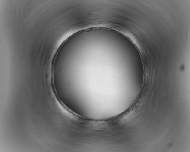 X0000090451143200707272210