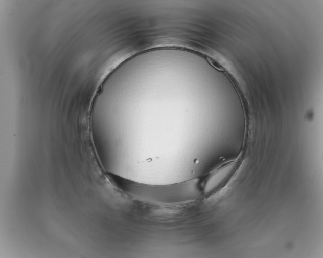 X0000090451145200707272210