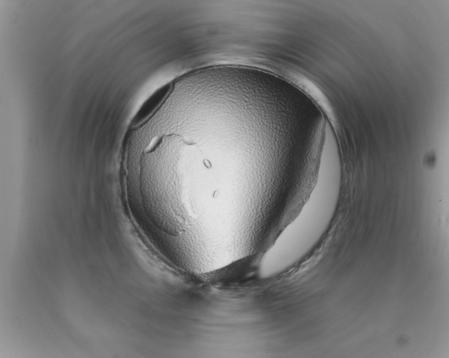 X0000090451146200707272210