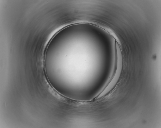 X0000090451148200707272210