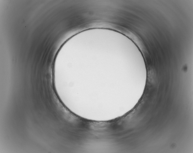 X0000090451150200707272210