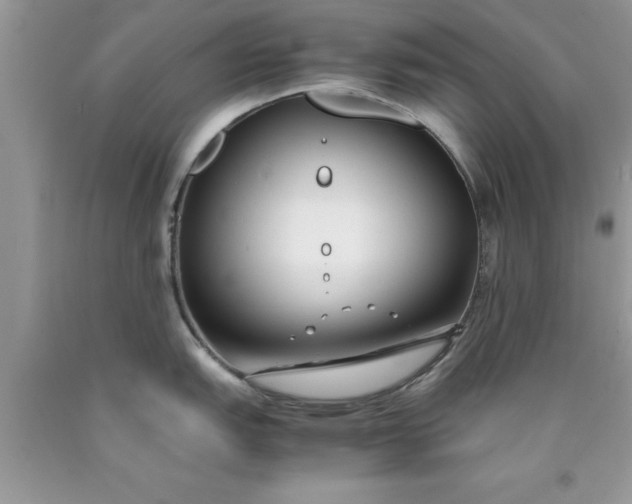 X0000090451151200707272210