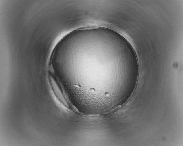 X0000090451152200707272210