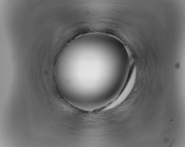 X0000090451153200707272209