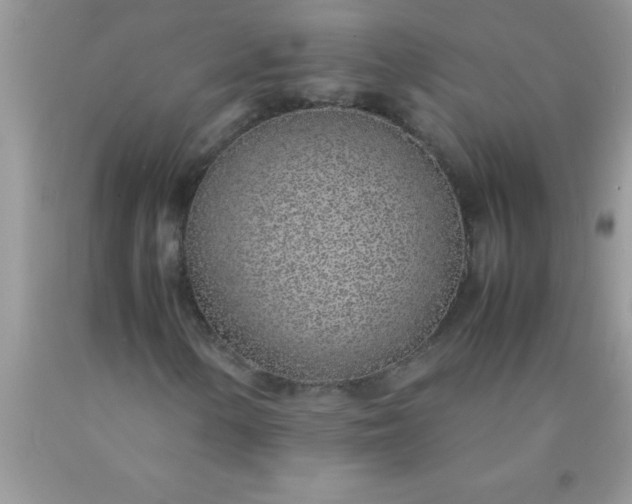 X0000090451154200707272209