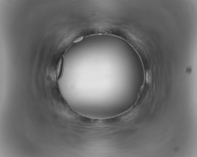 X0000090451155200707272209