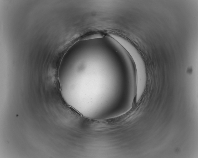 X0000090451156200707272209