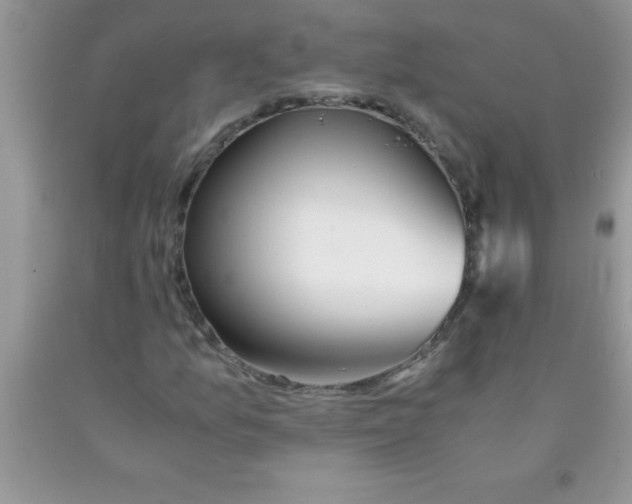 X0000090451157200707272209