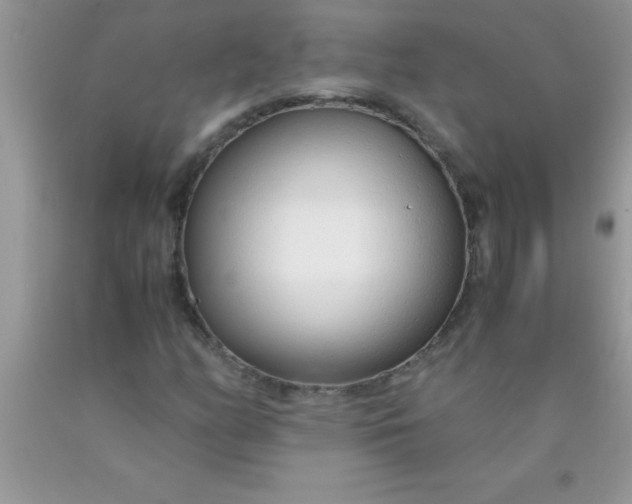 X0000090451158200707272209