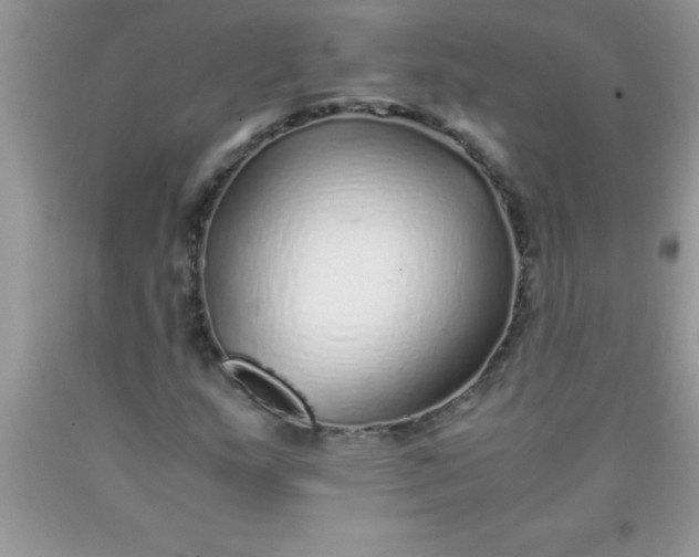 X0000090451159200707272209