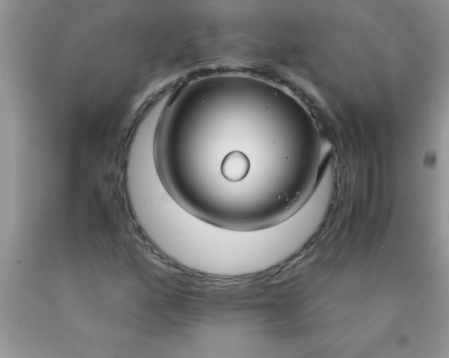 X0000090451160200707272209