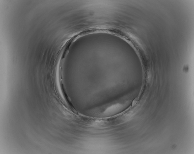 X0000090451161200707272209