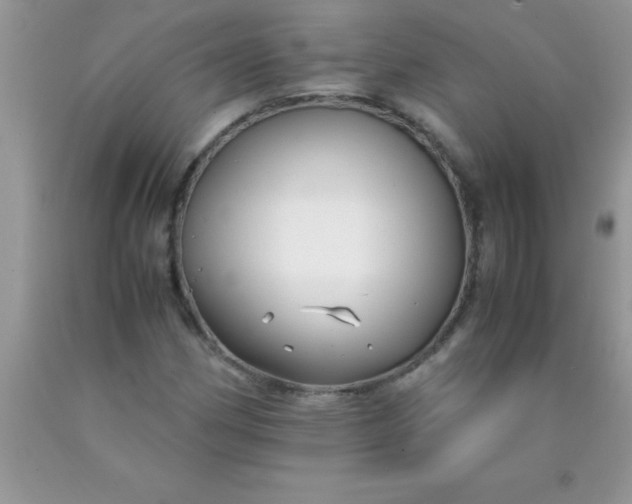 X0000090451162200707272209