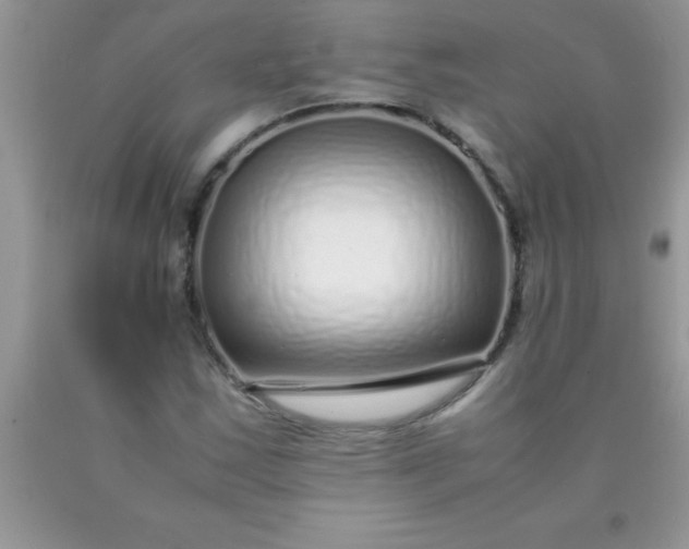 X0000090451163200707272209