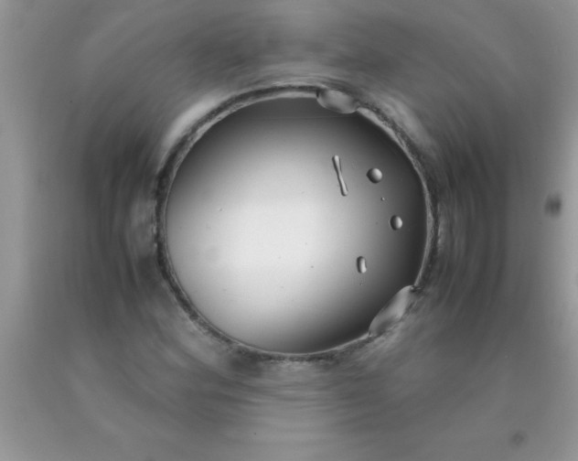 X0000090451164200707272209