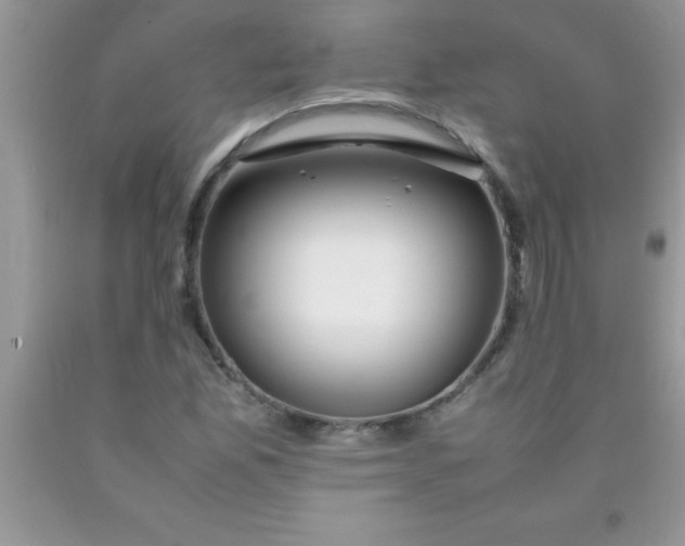 X0000090451165200707272209