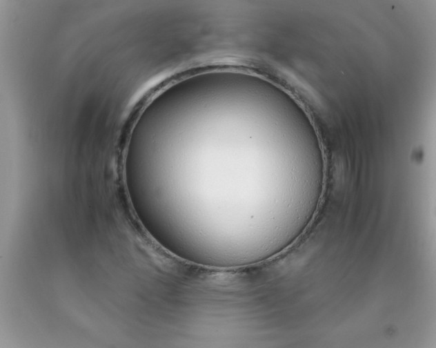 X0000090451166200707272209