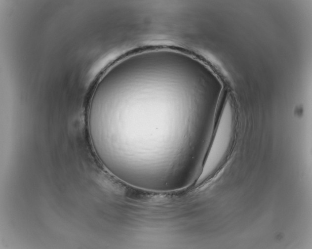 X0000090451167200707272209