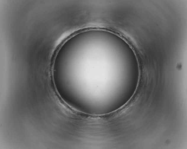 X0000090451168200707272209