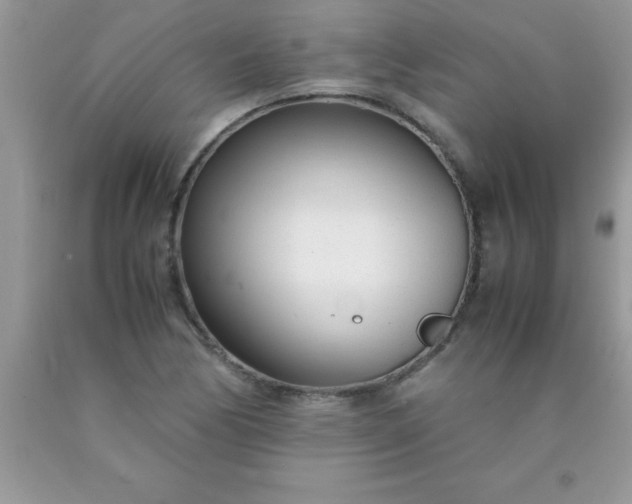 X0000090451170200707272209