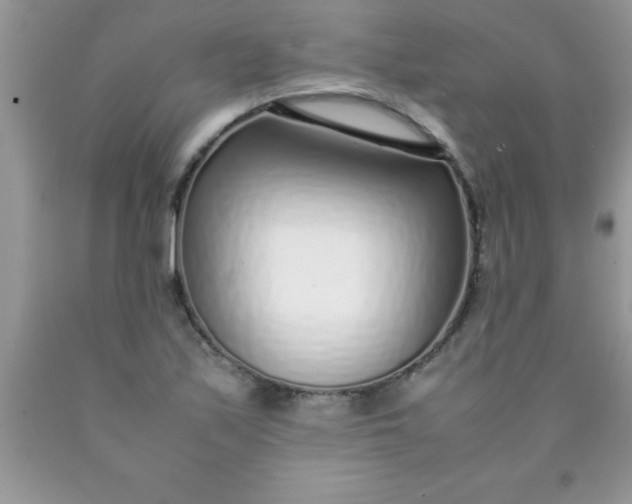 X0000090451171200707272209